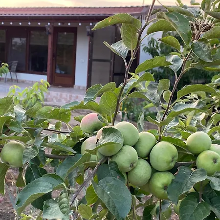 Casa Luca